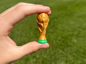 Mini FIFA World Cup