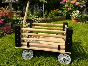 Carriage for garden