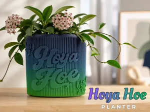 Hoya Hoe Planter