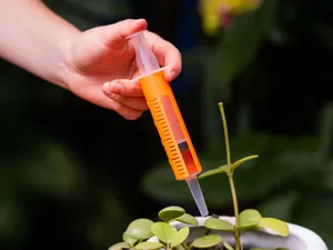 Measure Master Garden Syringe (20 ml/cc) - Sleeve