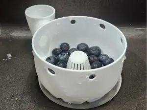 Automatic Fruit & Vegetable Washer