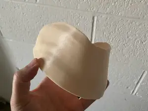 Horse hoof