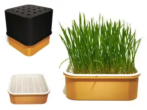 Hydroponic Microgreens and Peanut Sprouting Box