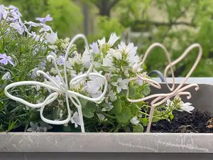 Schmetterling Deko Blumen und Pflanzen