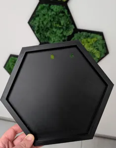 Hexagon für Moosbilder