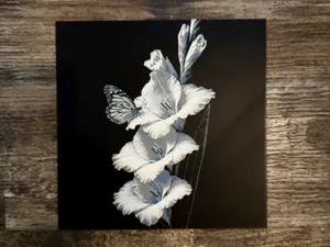 Gladiolus Flower Series