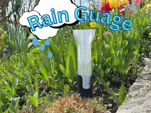 Rain Gauge