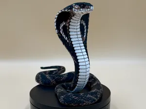 King Cobra (Ophiophagus hannah)