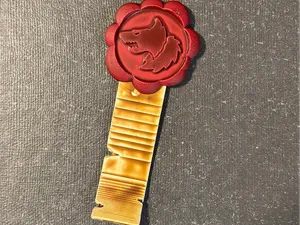 Purity Seal of the Space Wolves