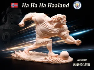 Erling Haaland