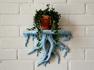 Tree Root Wall Shelf