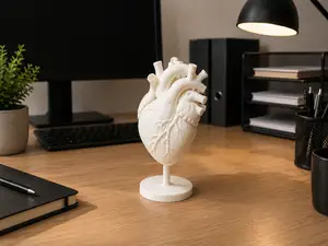 Anatomical Human Heart Model – 3d print Detailed