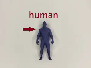 Human Anatomy Model | 3D Printable Figurine