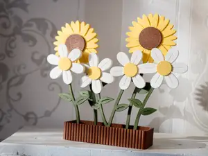 Blumen im Topf Sonnenblume Gänseblümchen Flower