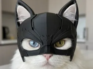 New! Ultimate Batman cat helmet