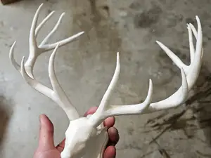 Deer head decorative trophy