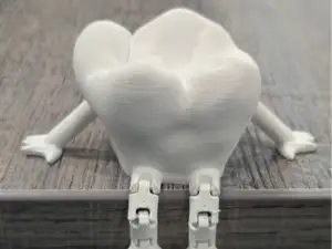 Molar Tooth Buddy - Anatomically Correct