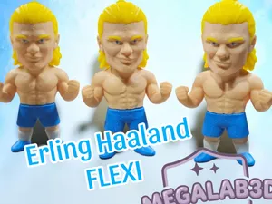 Erling Haaland Flexi – MegaLab3D