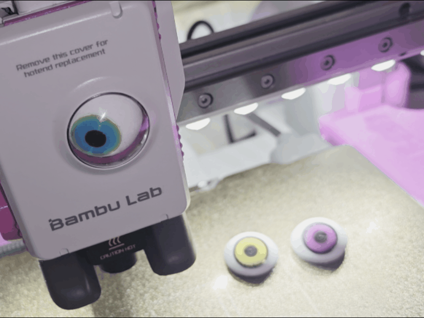 3D Disc for A1 / A1 Mini - "Eyeball"