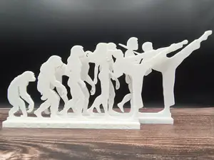 Evolution to Taekwondo Fighter (M/F)
