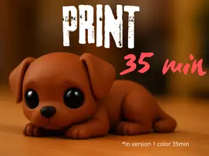 Little Cute Dog- print 35min