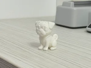 Dog Pug