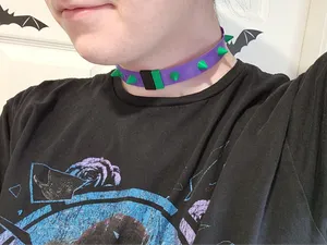 Adjustable Spiky Bands