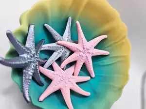 Sea Star - StarFish