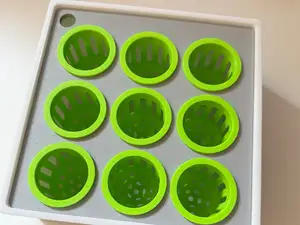 Hydroponic Anzucht