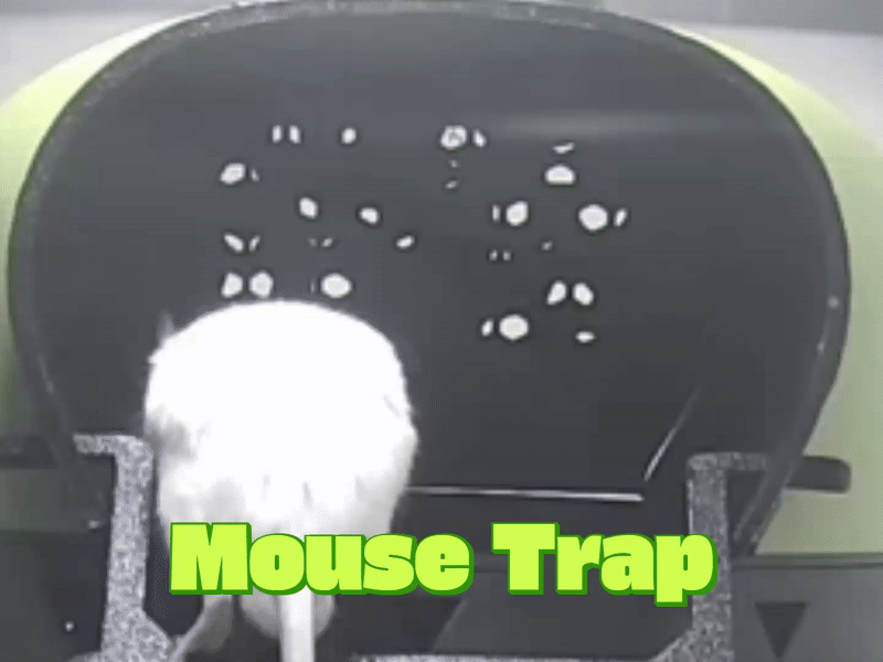 Multi-Catch Mouse Trap