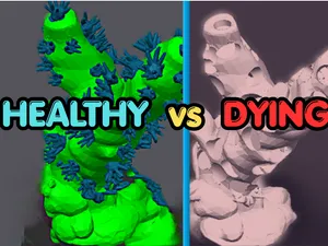 SPS Coral Health Guide | Spot Healthy vs Dying