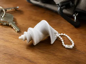 Thatcheria Mirabilis Shell Keychain