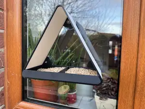 Window Bird Feeder Removable Tray + Suction Cups