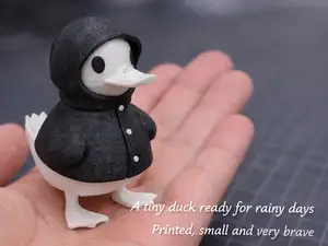 Hoodie Duck