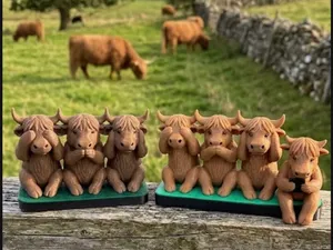 Highland Cows See Speak Hear No Evil + new version