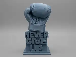 Guantone Motivazionale "Never Give Up"