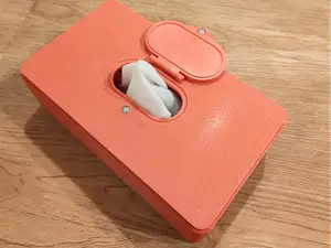 Wipes dispenser