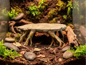 Natur Podest