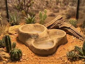 Natural Rock Triple Water Feeder - Terrarium Bowl