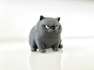 Polly die "NEIN-KATZE" Fat Cat Angry British short