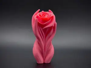 A Special Rose