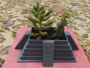 Succulent Plant Pot