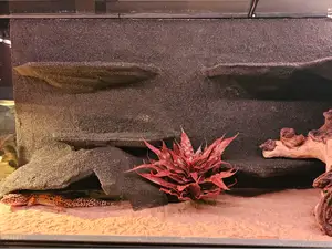 Lizard / Gecko apartment for for Terrarium