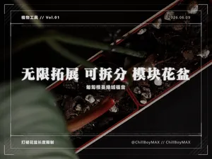 无限拓展可拆分模块化长方形热植花盆/适用匍匐茎植物