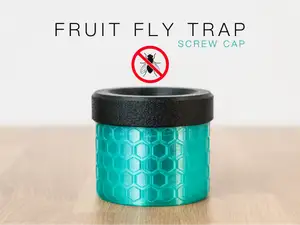 Fruit Fly Trap with Screw Cap