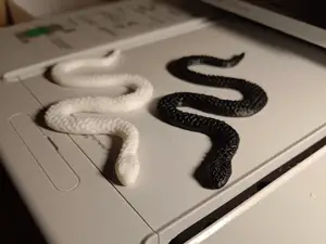 Mini snake