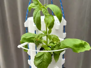 Hydro hanging garden