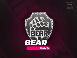 BEAR Patch