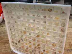144 Compartment Display with Magnetic Lid