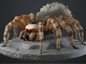 D&D Giant Spider - 2inch base